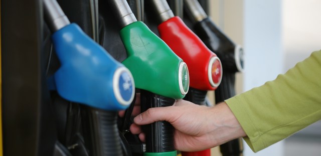 shutterstock_60487465